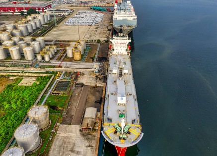 Port Economics: Profitability, Competition, and Investment Strategies