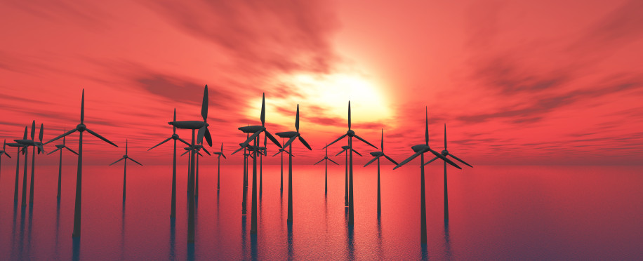 The Growing Importance of Offshore Wind Farms in Marine Energy Production