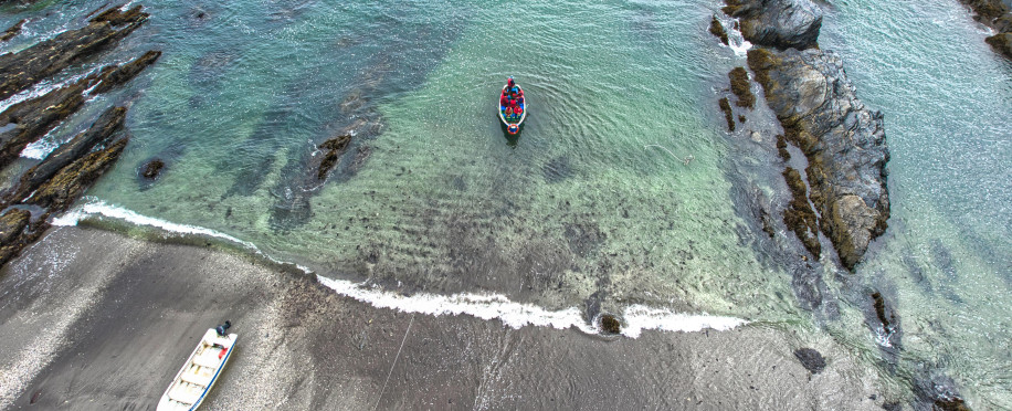 What Is FPSO? A Deep Dive into Offshore Oil and Gas Operations