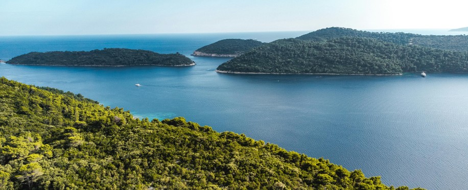 EU MRV Explained: What Shipping Companies Need to Know in 2025