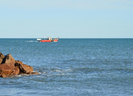 Ship Stability Management: Ballast, GM, Trim & Stress Monitoring