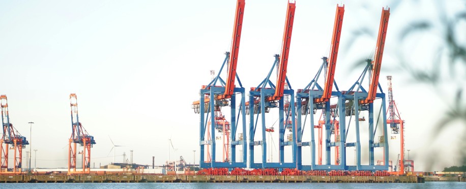 Solving Shipping Delays in the Gulf: Strategies, Technology, and Policy Reform