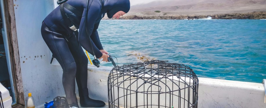 Addressing the Abandonment of Seafarers by Dubious Ship Owners: A Global Response to a Contemporary Crisis