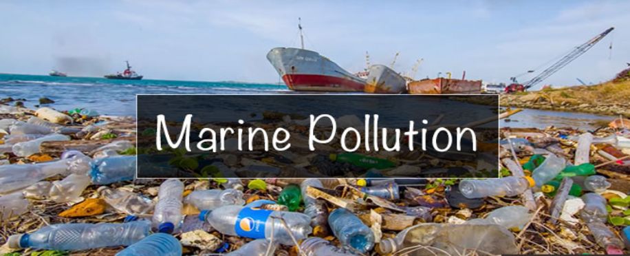 storage/images/posts//MarinePollutionControl1_1689458865.jpg