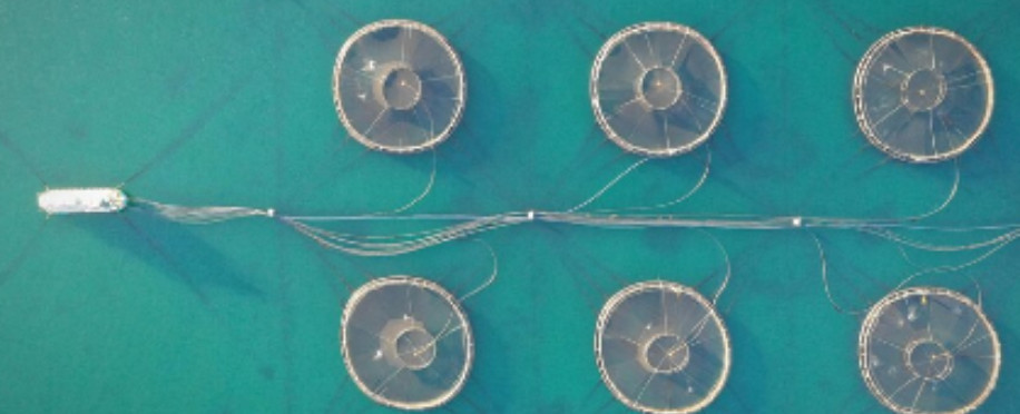 Maritime Connectivity