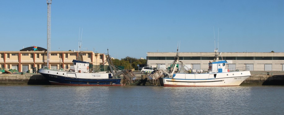 Shipping Management courses in London