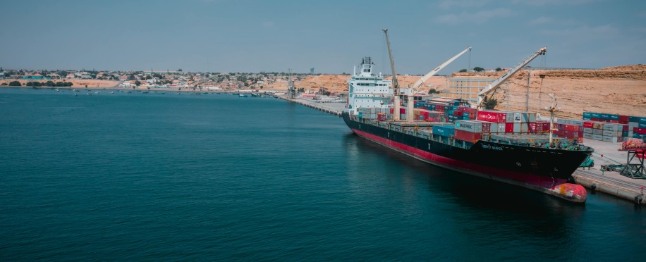Trump's Tariffs & Global Shipping
