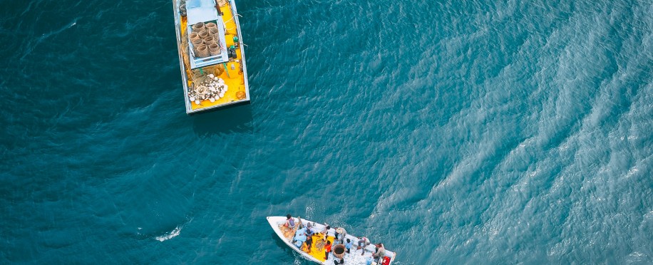 maritime professional training