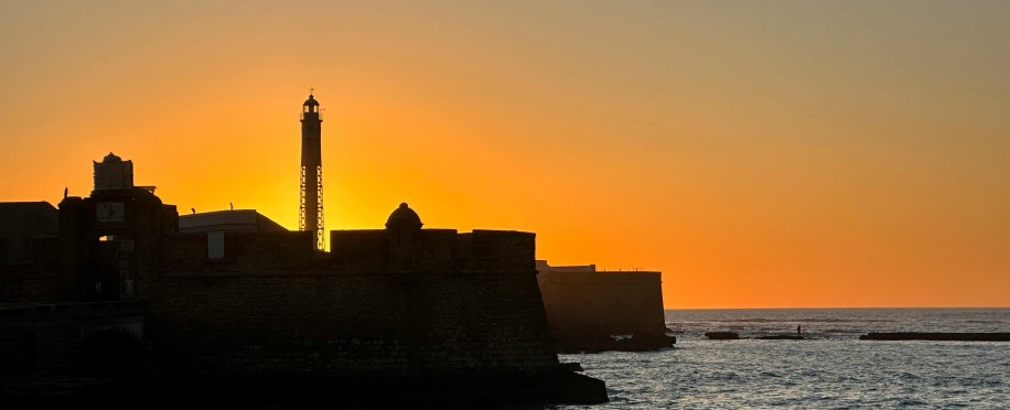 maritime law courses in uk
