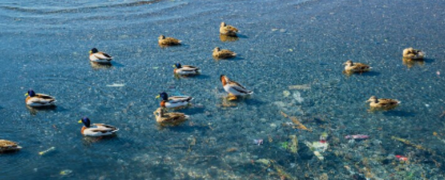 Ocean Governance